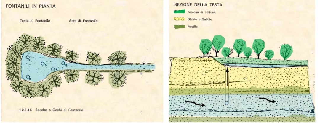 Fontanili in Pianta e sezione della Testa